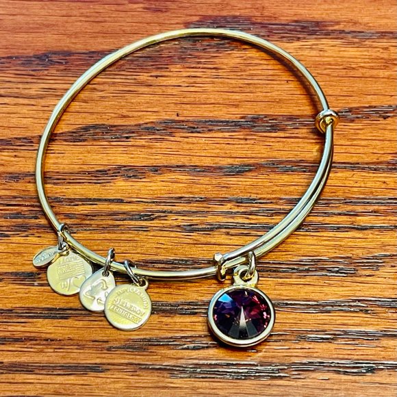 Alex and Ani Jewelry - Alex and Ani Amethyst Birthstone Charm Bangle, Feb